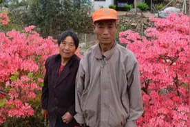 李吉祥夫妇：抱病栽花二十载，昔日荒山成“花海”，门票仅售十元图片