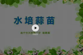 「芬芳网上课程」——科学《水培蒜苗》图片