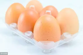 人生如同一个蛋图片