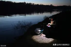 浅析：夜光棒、电子漂、夜钓灯在夜钓中的优缺点及应用策略图片
