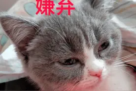 今日份彩虹屁（快拿去夸人）图片