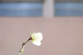写给中年女人：糊涂一点，人生会轻松很多图片