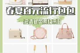 32款神仙高颜值百元包包|小众设计精致百搭图片