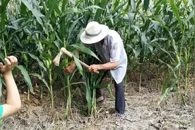 农村老人爱说：“穷不碰三艺，富不亲三人”，啥意思？看完明白了图片