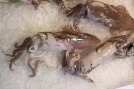 鱿鱼焯水后嚼不动？看完大厨的操作才知道，这才是正确的焯水方法图片