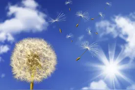 春之物语，光影若梦，风亦何方图片