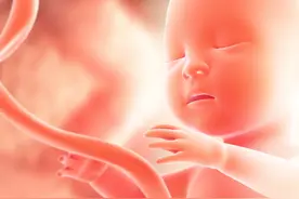 子宫除了生育功能外还有4大作用，女人最重要的三个部位，多注意图片