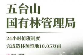 ​8张海报，看山西各地林局防火造林两手抓图片