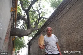 河北9旬老人与300年古树“同居”48年，为护树，不让儿孙盖楼房图片