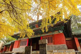 故事：古代故事：插天飞，假罗汉图片