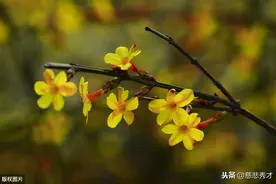 当你总是感觉不开心时，这可能是一种暗示，首先要恭喜你了图片