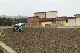一宗宅基地值多少钱？平均一亩30万！集体土地如何定价有了新规范图片