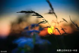 日久见人心，时间见人品图片