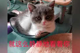 30张爆笑动图，没点开前真不知道有这么好笑……图片