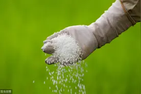 农民实用小技巧，除草剂里加尿素，除草效果更佳图片