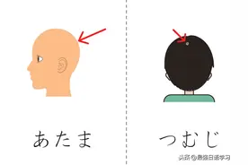 日语趣味单词卡片：身体部位篇图片
