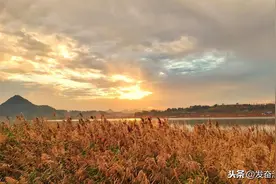 婚姻：既然两个人选择在一起生活，那么就不要放弃当初结合的理由图片