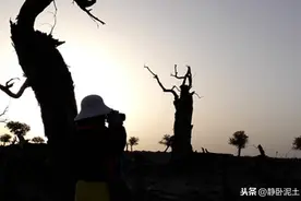 额济纳胡杨，一场等待了三千年的约定图片