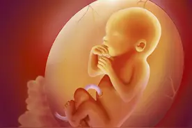 孕期老婆发生胎停育跟男方有关系吗？图片