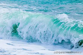 评《浪花》诗集作者：张用生图片