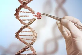 航空育苗种子代表农业科技巅峰：“上天”种子“落地”后干了啥？图片