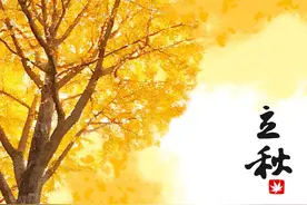 秋天到了，树叶也变得五彩斑斓图片