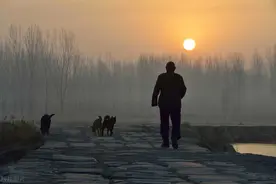 都说大河向东流呀，偏偏山东的这条河却叛逆了，居然往西流？图片