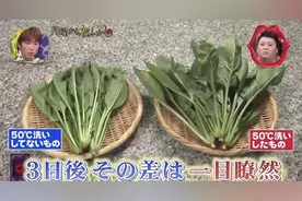 日本主妇的10个家务技巧，吹风机搞定苍蝇，全程高能图片