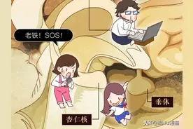 漫画：为什么别惹女朋友生气，终于有科学答案了图片