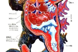 《哥斯拉》：伴随着时代的变迁，哥斯拉也在成长图片