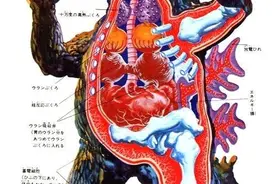 《哥斯拉》：伴随着时代的变迁，哥斯拉也在成长图片