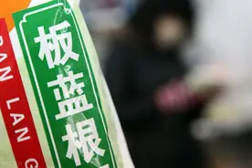 多地出现新冠确诊，钟南山称复方板蓝根对新冠病毒有效，科学吗？图片