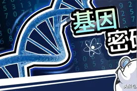 基因和人类高度相似的猩猩，为什么没有进化成人类？图片