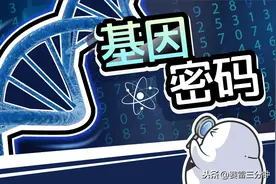 基因和人类高度相似的猩猩，为什么没有进化成人类？图片