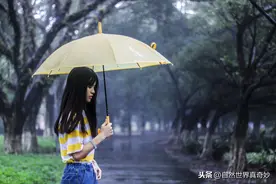 雨中的美女图片
