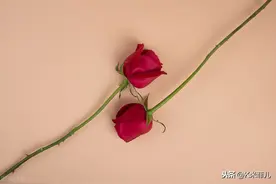 随心，出发图片