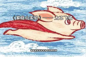家庭实验室 | 第四十一期 太乙飞猪图片