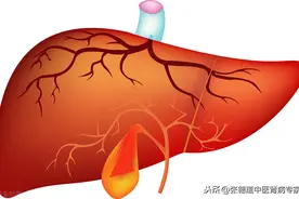 在肾脏病辨证过程中注意脏与脏的关系之二-----肾与肝图片