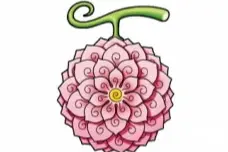 这些恶魔果实你都认识吗？《海贼王》出现的恶魔果实&拥有者汇总图片