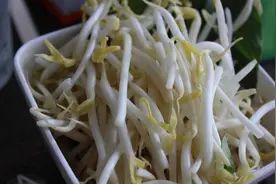 绿豆芽好吃难长？掌握技巧，不用催生剂，又脆又壮还不烂图片