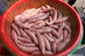 男人一旦过50，建议多吃这些食物，营养胜过牛羊肉，美味还不贵图片
