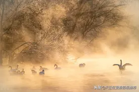 梦幻般的童话世界——新疆伊宁天鹅湖图片