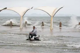 山东烟台滨海北路，大浪冲击海岸激起冲天的浪花图片