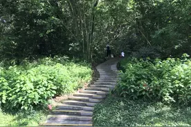 探访深圳笔架山公园，山高林幽，湖光山色，景致独特图片