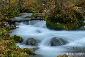 山间小溪，潺潺流水，带来夏日清凉图片