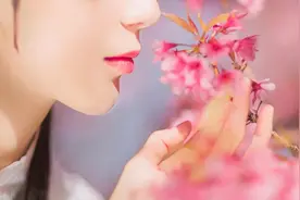 南方有佳人，一见而倾心图片