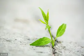 于中华：《生命的礼赞》图片