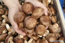 买香菇，挑大的还是小的？牢记“3买3不买”，谁也不敢忽悠你图片