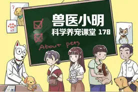 猫咪去世前喜欢躲起来，可能是它们不想主人难过，才避着铲屎官图片