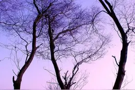看摄影作品的3个方法，快速提高审美和拍摄技巧图片